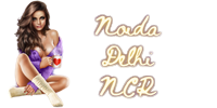 NoidaDelhiNCR logo